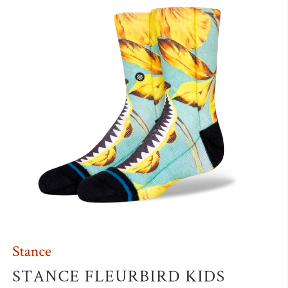 NWT Boy's Fleurbird Kids Stance Crew Socks